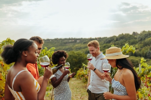 winery-tours-niagara