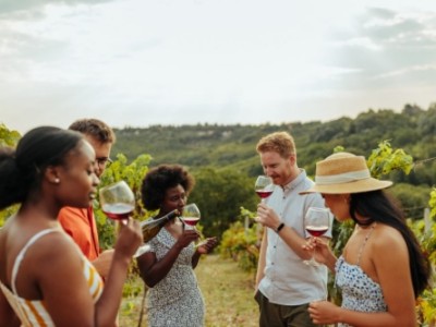 winery-tours-niagara